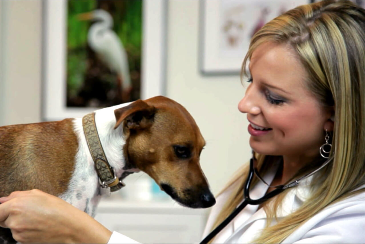 Mars Veterinary Health