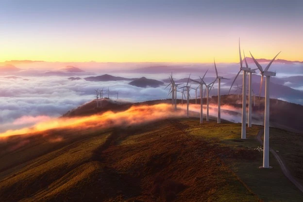 A constructed wind farm in operation.
