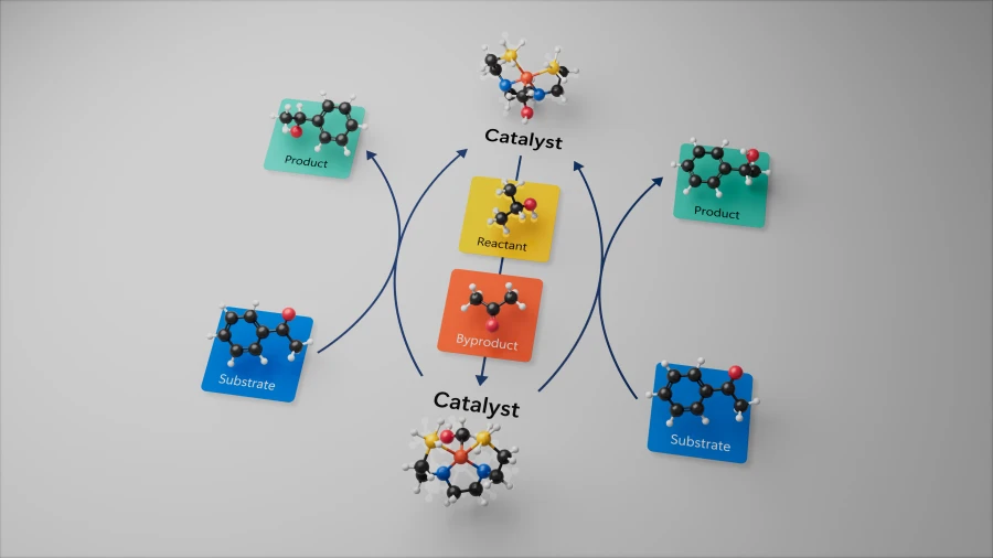 Graphic showing reaction pathways of the PNNP iron catalyst.